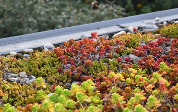 the cost of Bwlch Y Cwm green roof installation