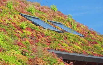 Bwlch Y Cwm living roof systems